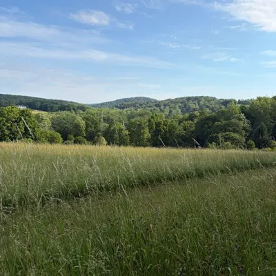 @the_hay_honey_farm