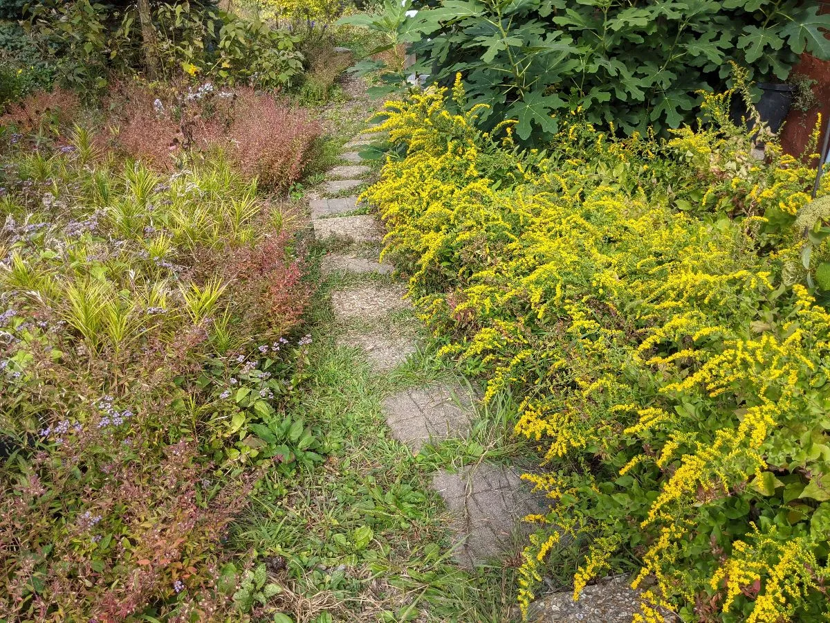 Besa's Garden Escape cover photo