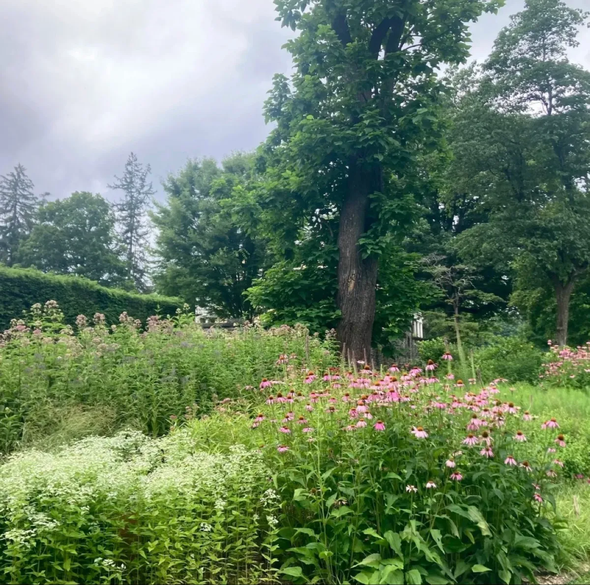 BeatrixFarrandGarden cover photo