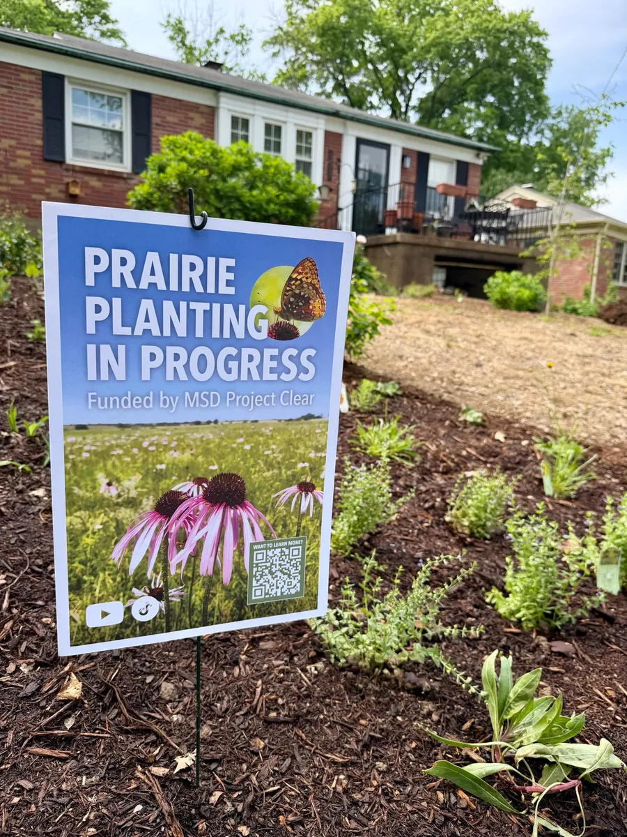 Luna Layne Prairie cover photo
