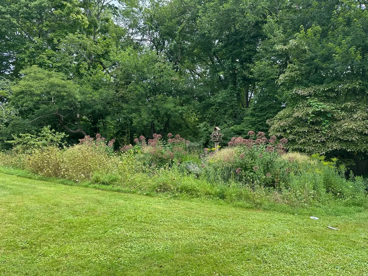 The Garden of Dianne B cover photo