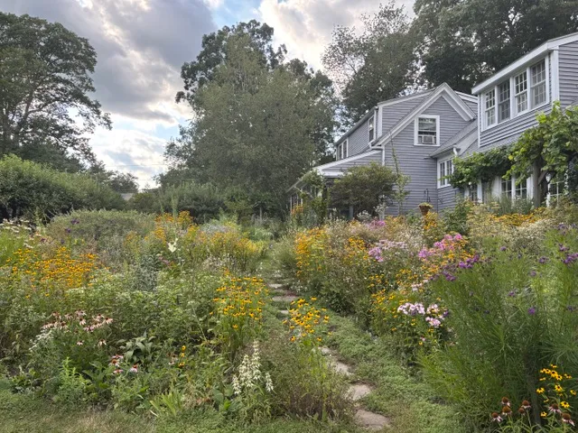 Ecological Refuge cover photo