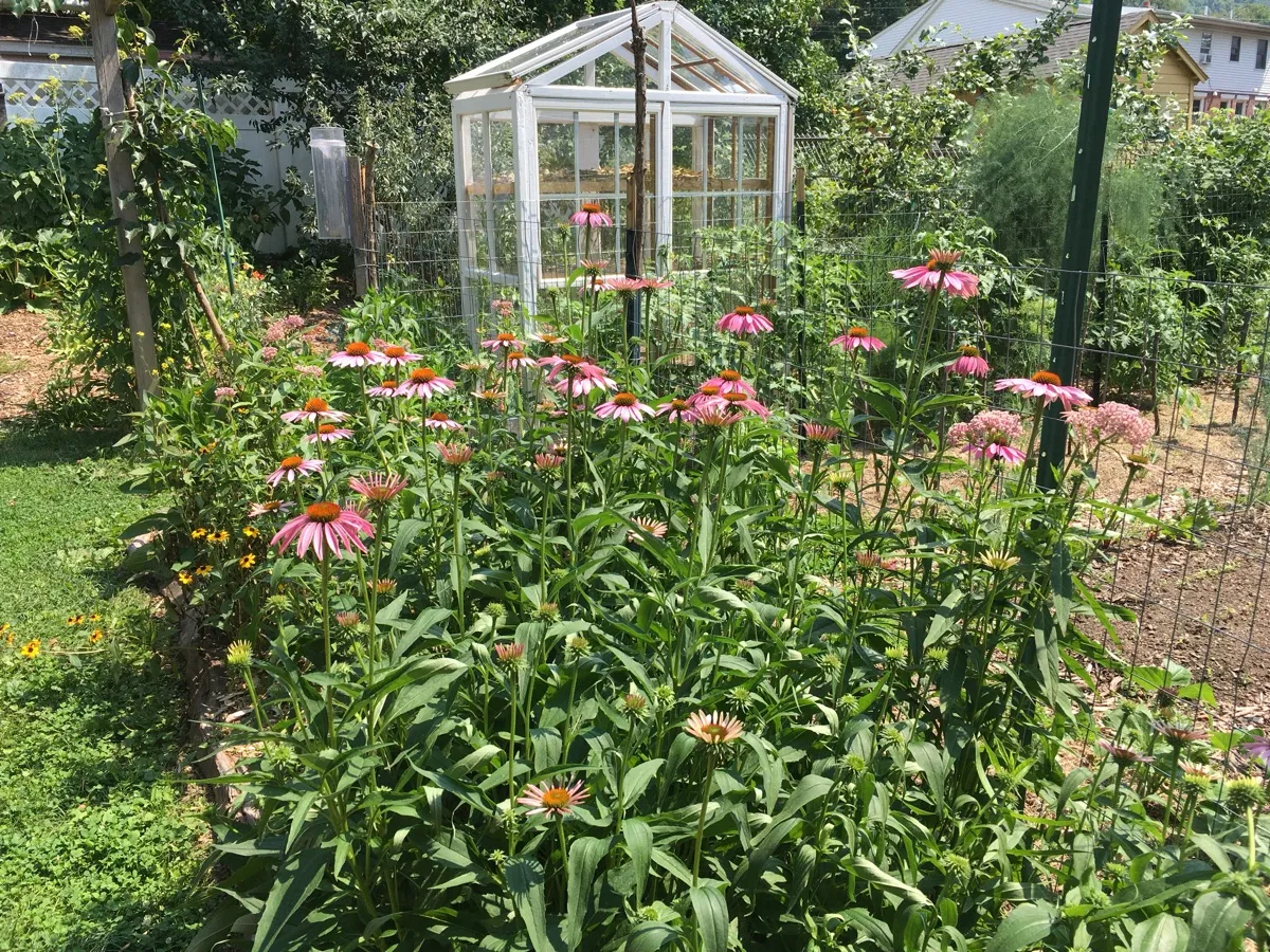 Nourishing Life Garden cover photo