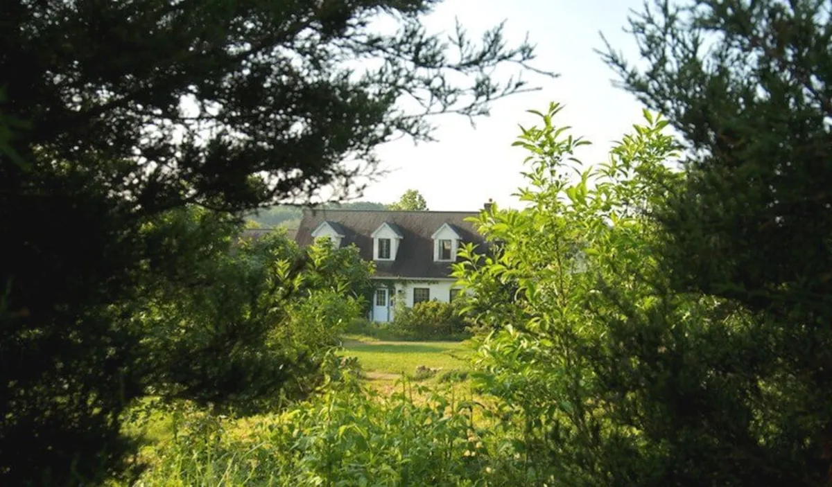 The Tallamys' Place cover photo