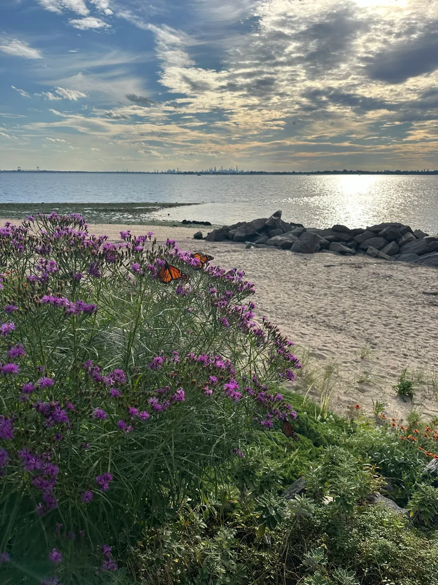 The Gardens at Sands Light cover photo