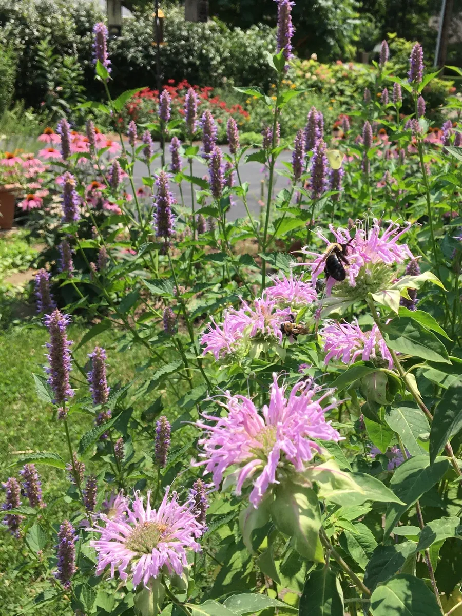 My Happy Place cover photo