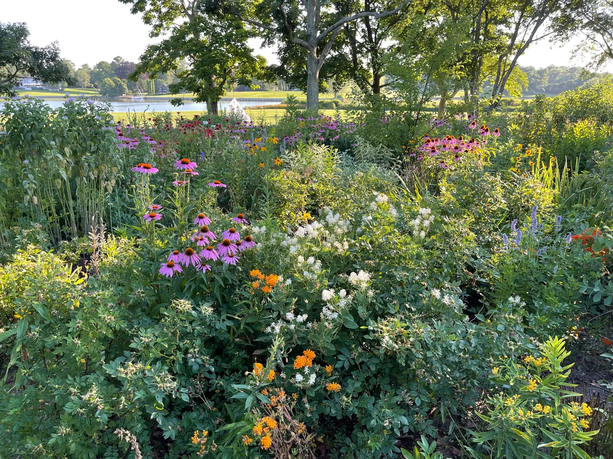 Hunnewell Garden cover photo
