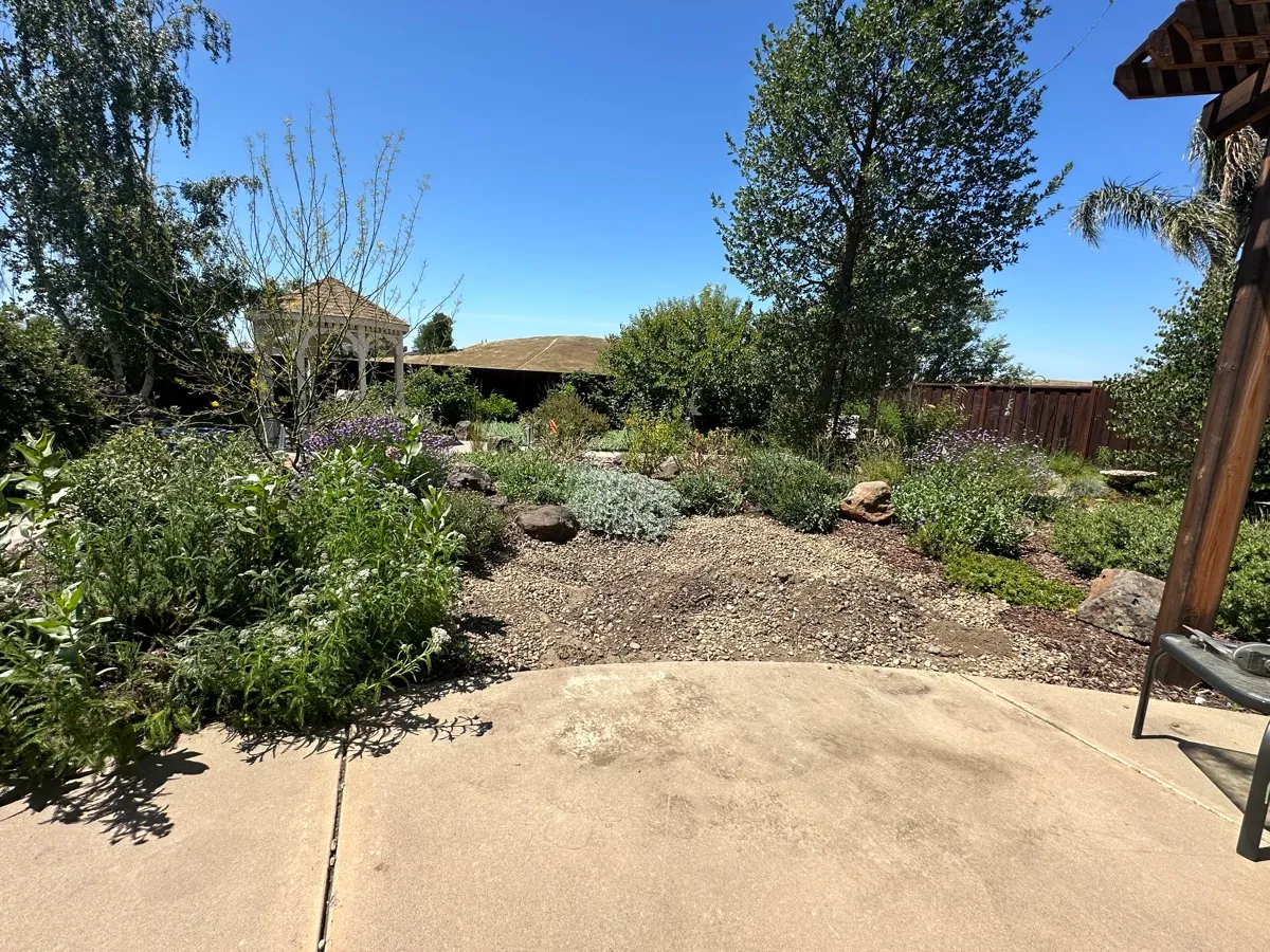 Fox Meadow cover photo