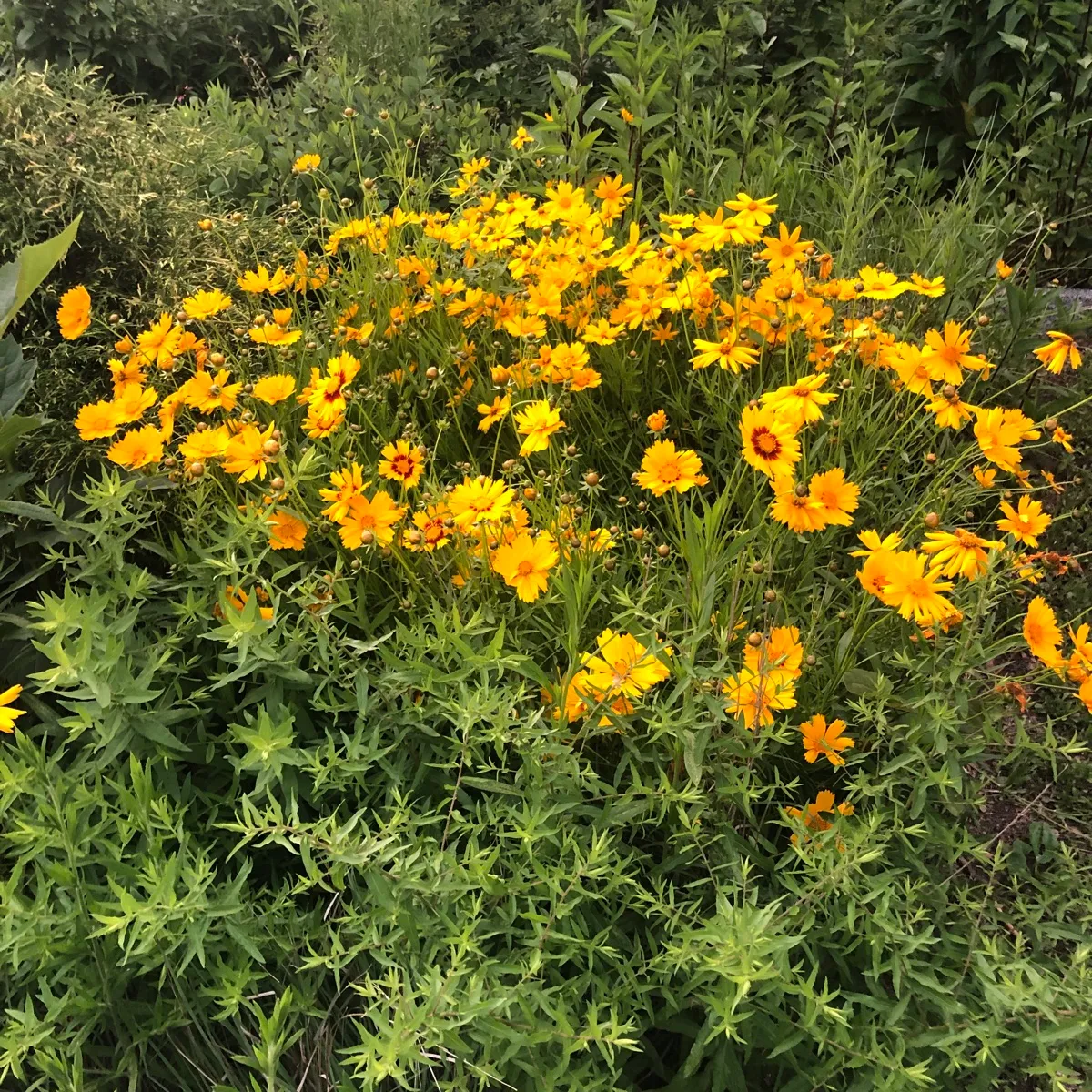 Andrew’s Place cover photo