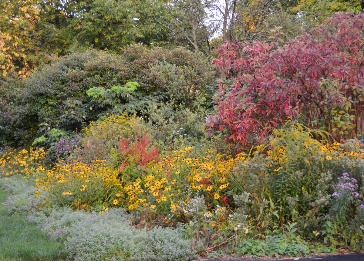 Our Habitat Garden cover photo