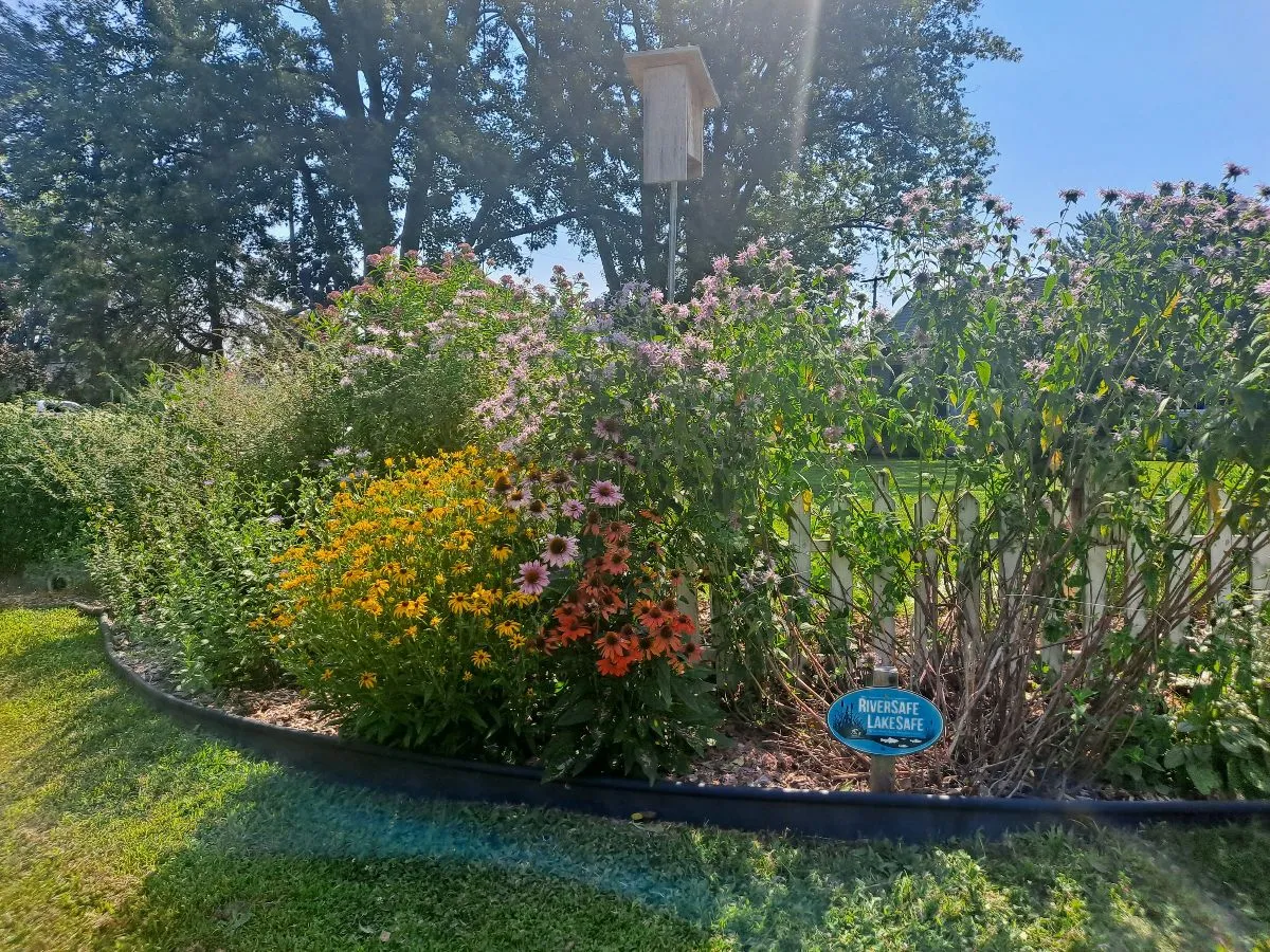 Nancy's Place cover photo