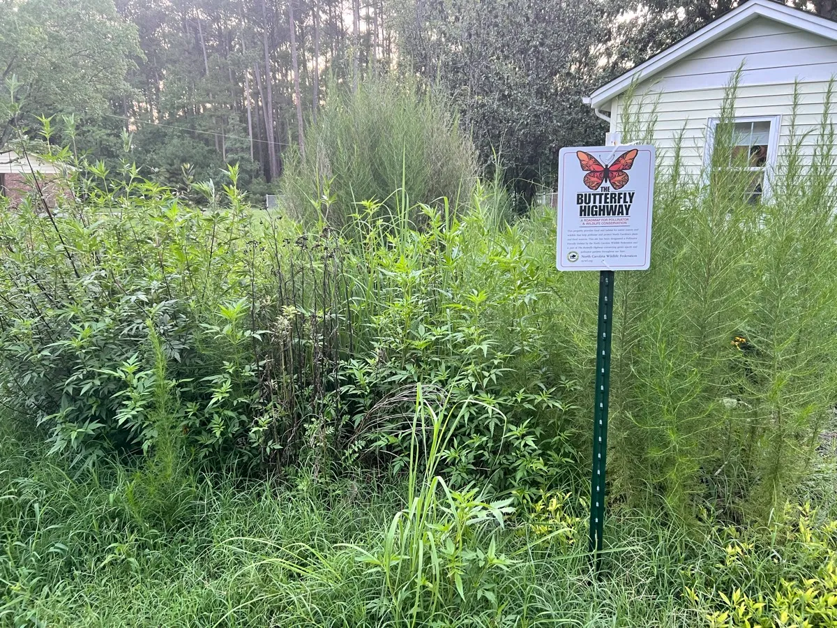 Apicella Acres cover photo